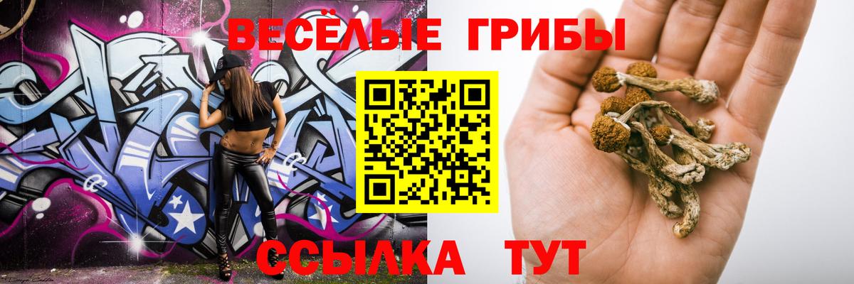 Камышин  Псилоцибиновые грибы прущие грибы  Псилоцибиновые грибы MAGIC MUSHROOMS  Вход с VPN 